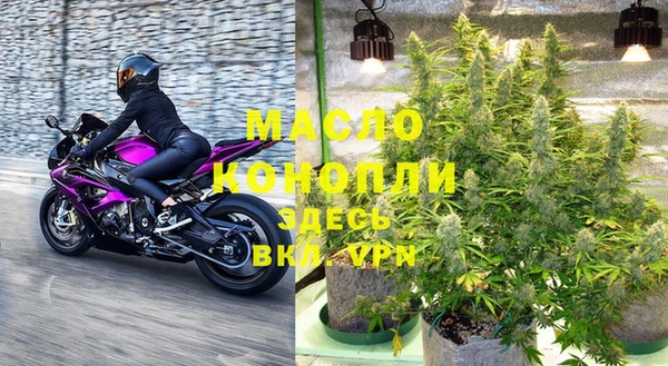 крисы Новодвинск
