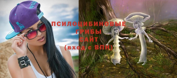 дурь Майский