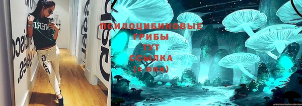 дурь Майский