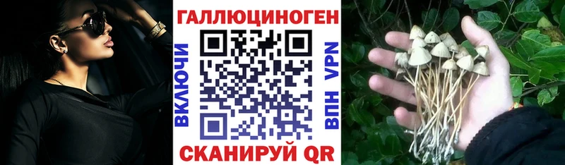 купить наркоту  Полесск  площадка Telegram  Галлюциногенные грибы Cubensis 